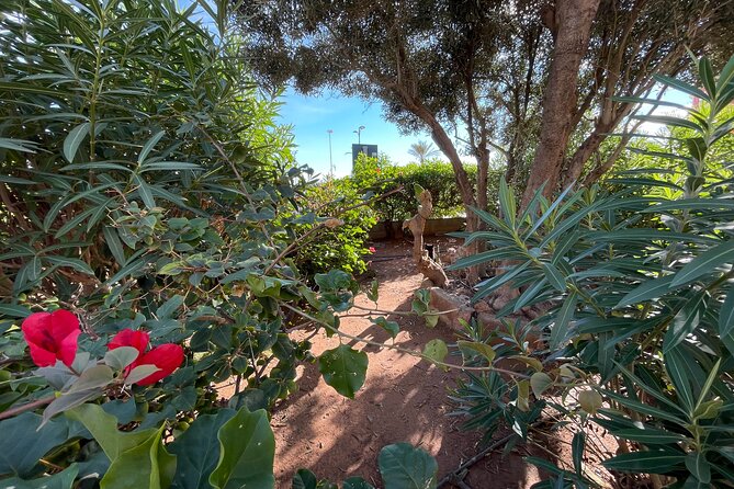 From the Old Town to the City of Arts – Small Group Bike Tour - Stop 2: Jardí del Túria—14 kilometers of bikeable calm