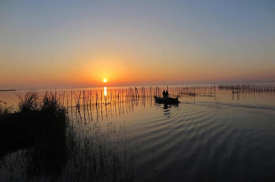 From Valencia: Albufera Boat Ride, Sunset & Paella Included - Where you start: Centro Comercial Saler and round-trip comfort
