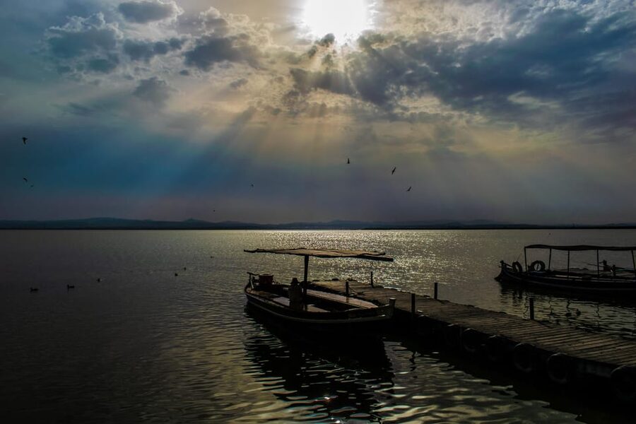 From Valencia: Albufera Boat Ride, Sunset & Paella Included - Sunset rides: when you go and why your schedule needs flexibility
