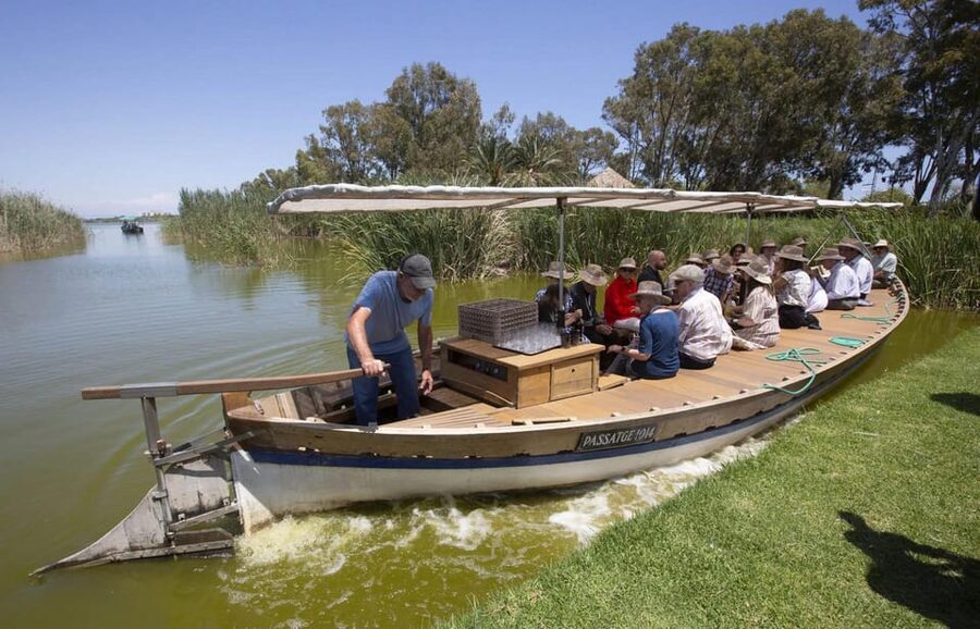 From Valencia: Albufera Boat Ride, Sunset & Paella Included - The guide matters: clear explanations, friendly energy, and real conversation