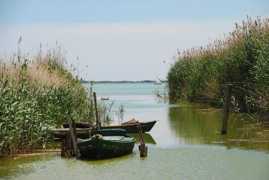 From Valencia: Albufera Boat Ride, Sunset & Paella Included - The Albufera boat ride: birds, stories, and an expert who keeps it clear
