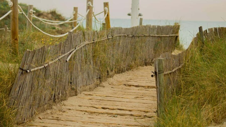 From Valencia: Albufera Natural Park Eco Boat Tour & Sunset - El Palmar village walk: old fishing streets and a real barraca home