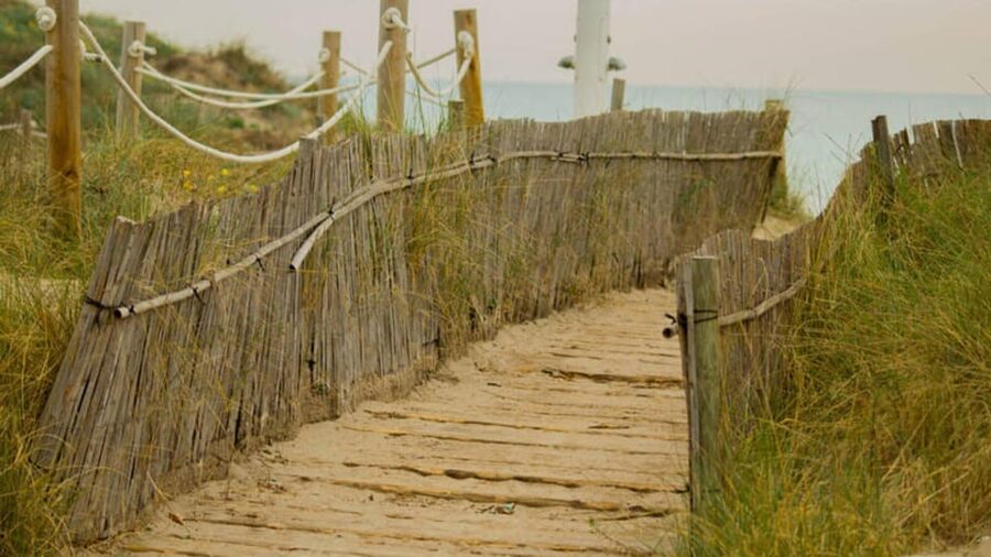 From Valencia: Albufera Natural Park Eco Boat Tour & Sunset - Should you book this Albufera Eco Boat Tour from Valencia?
