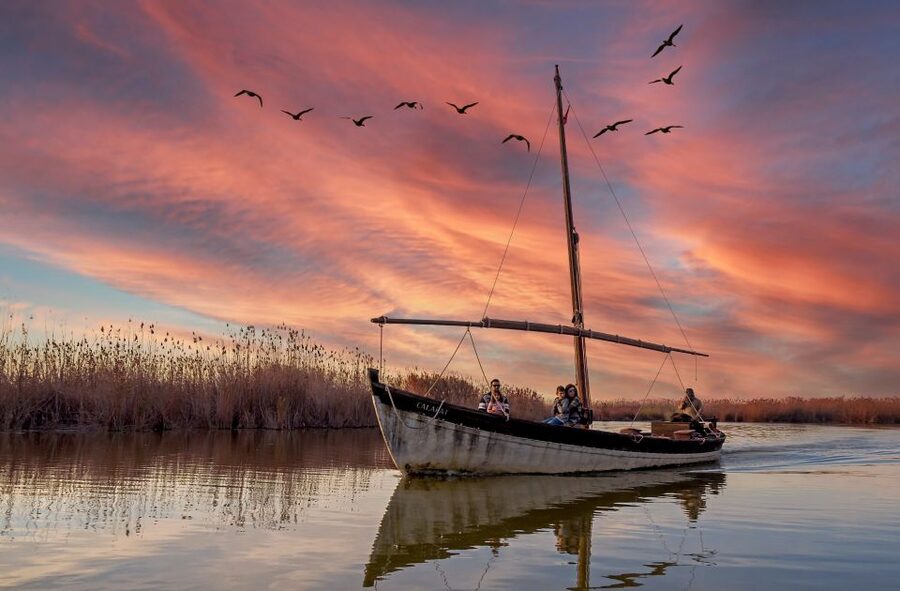 From Valencia: Albufera Natural Park Eco Boat Tour & Sunset - Getting from Valencia to El Saler: dunes, sea air, and Gola de Puchol