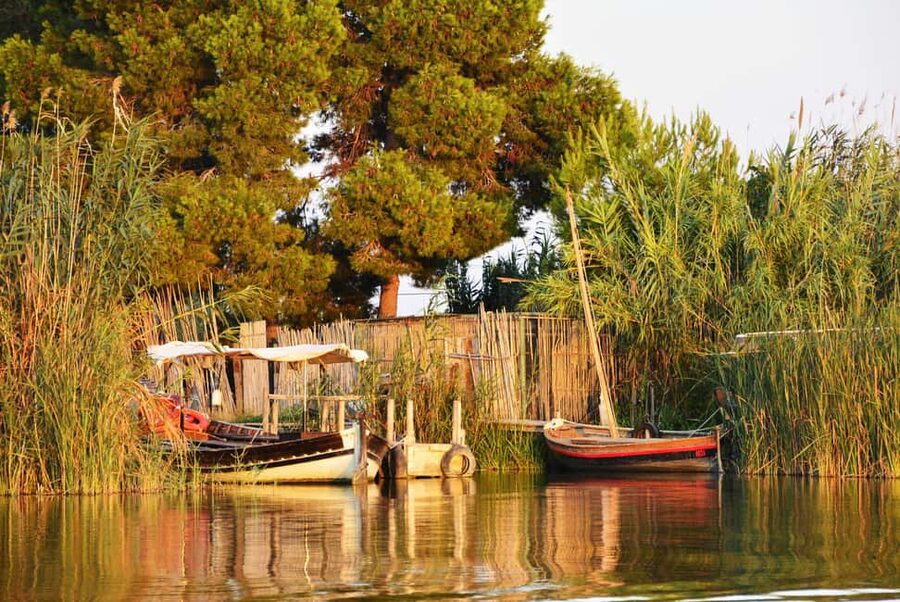 From Valencia: Albufera Natural Park with Sunset Boat Tour - Key highlights to look for