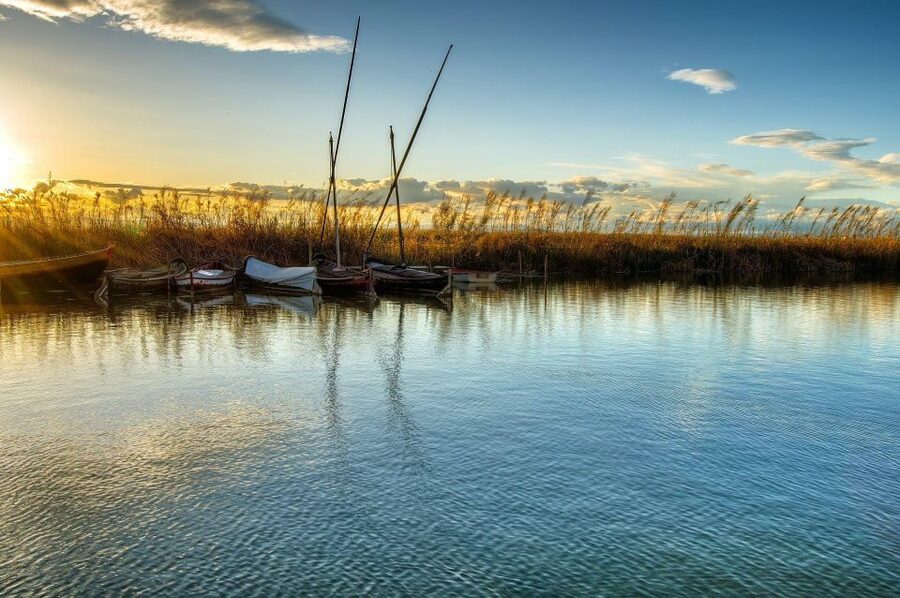 From Valencia: Albufera Natural Park with Sunset Boat Tour - Guides and narration: what “bilingual” means on the water