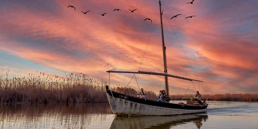 From Valencia: Albufera Natural Park with Sunset Boat Tour - Getting out of Valencia: the 30-minute coach ride that sets expectations