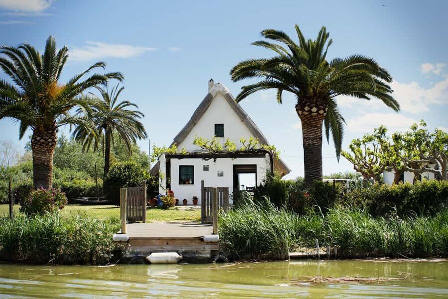From Valencia: Albufera Natural Park with Sunset Boat Tour - Switching gears to the boat: how the ride changes your perspective