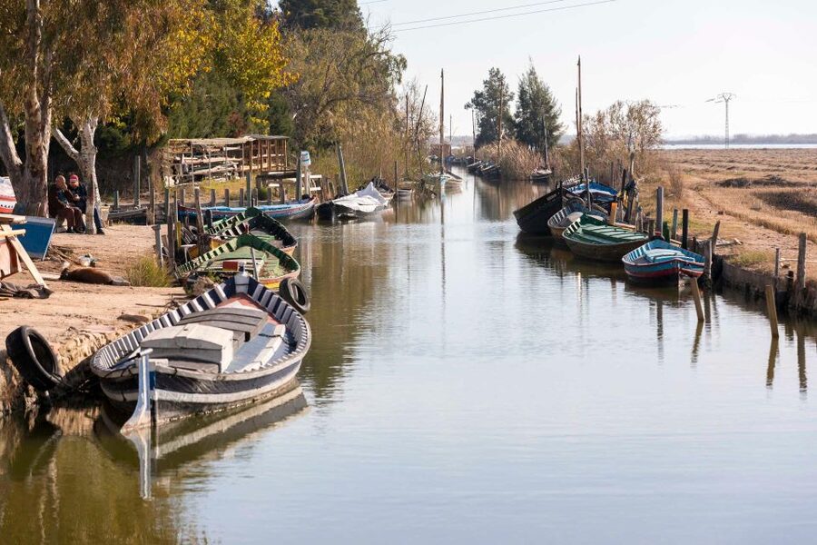 From Valencia: Albufera Natural Park with Sunset Boat Tour - Sunset on the Albufera lagoon: why the light is the star