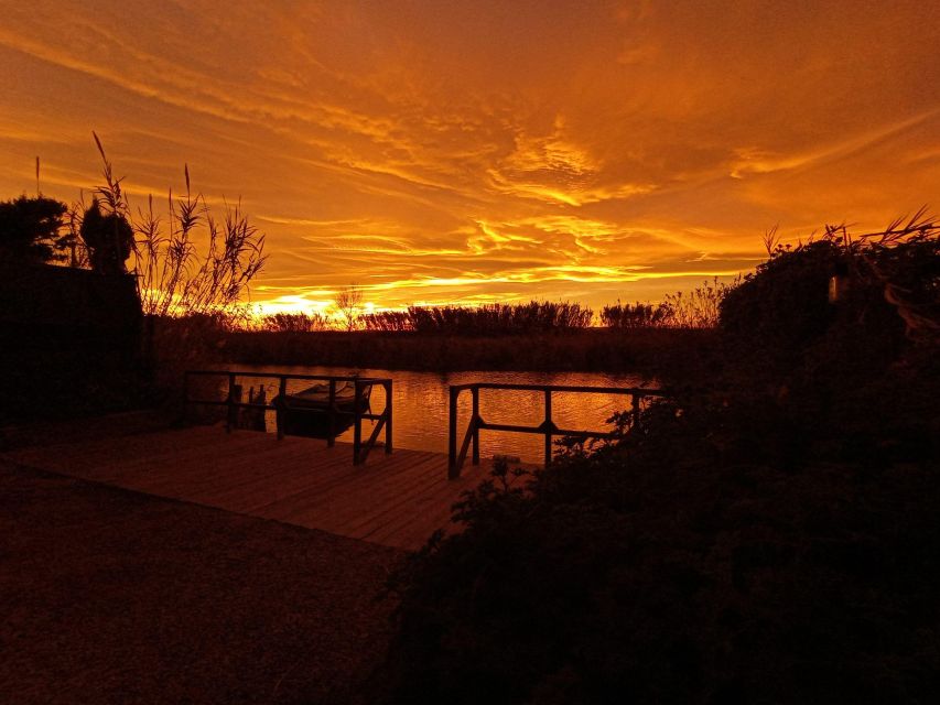 From Valencia: Albufera Natural Park with Sunset Boat Tour - Value for $39: why this price can feel fair in practice