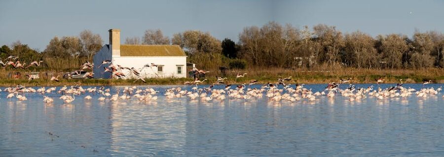 From Valencia: Albufera Private Tour, Paella & Boat Ride - Value and Price: Is $266 per Person Fair for 6 Hours?