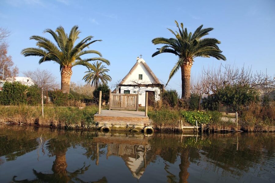 From Valencia: Albufera Private Tour, Paella & Boat Ride - Why Albufera Feels Like Valencia’s Rice Country