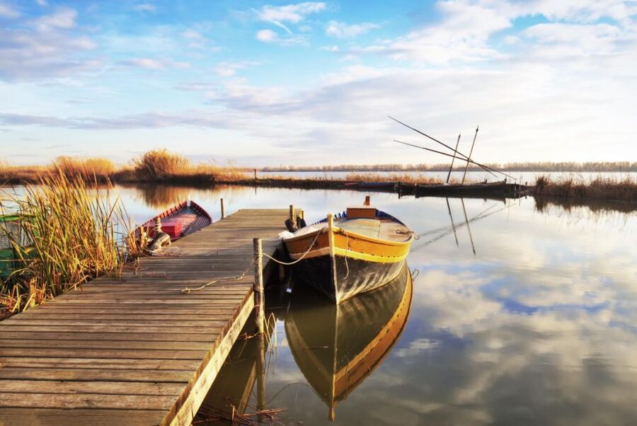 From Valencia: Albufera Private Tour, Paella & Boat Ride - A Gentle Walk Through Forest and Beach Edges