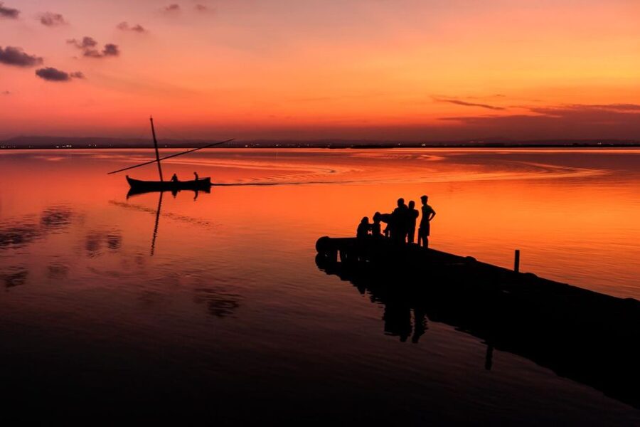From Valencia: Albufera Private Tour, Paella & Boat Ride - Lunch by the Lake: Paella, Wine, and Local Taste (1 hour)