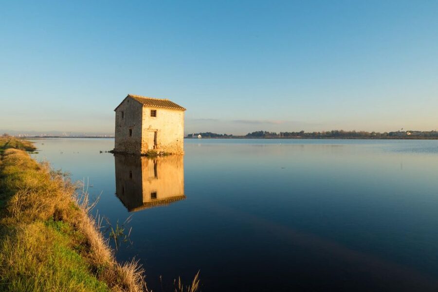 From Valencia: Albufera Private Tour, Paella & Boat Ride - Albufera Lake Boat Cruise: How to Make Sunset Actually Pay Off (1 hour)