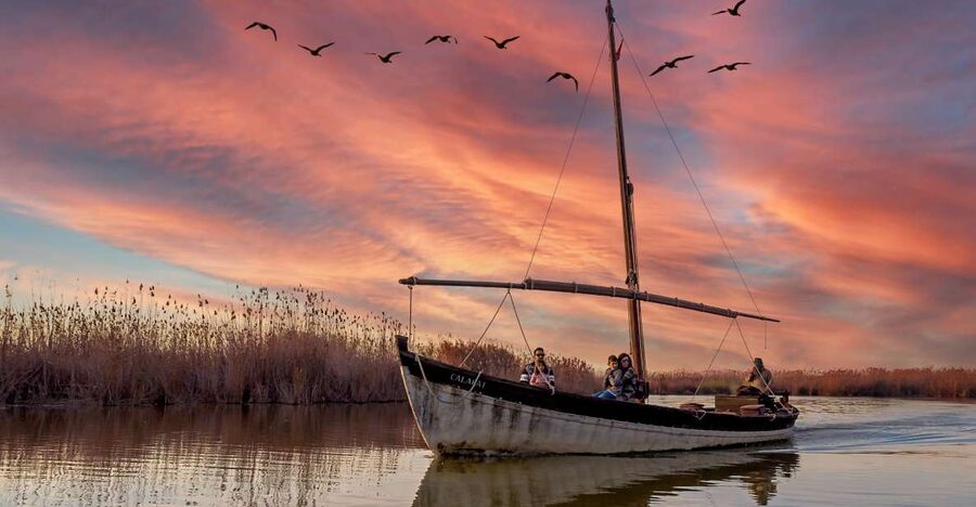 From Valencia: Cullera Old Town and Albufera Natural Park - What to bring (and what to plan for)