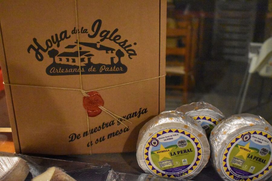 From Valencia: Guided Cheese Factory Tour with Wine Tasting - Price and value: is $117 a fair deal for 7 hours?