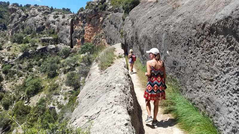 From Valencia: Peña Cortada Private Hiking Day Tour - Walking the Peña Cortada Roman aqueduct: tunnels and sky-high crossings