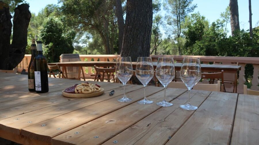 From Valencia: Utiel-Requena Wine Tour and Traditional Lunch - FAQ