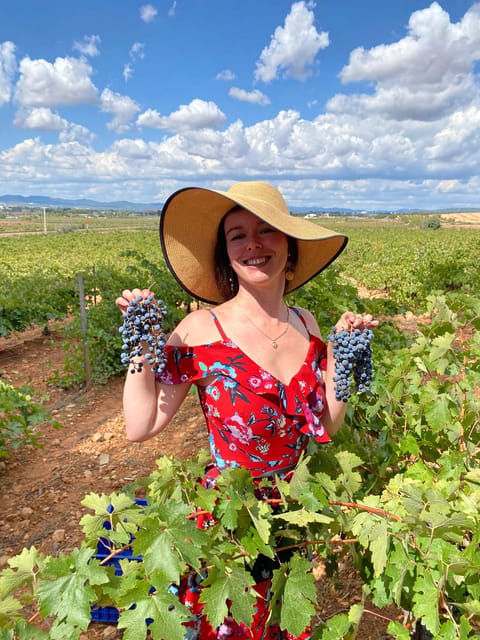 From Valencia: Utiel-Requena Wine Tour and Traditional Lunch - Family-Owned Estate in Utiel: Vineyards, Cellar, and Hospitality