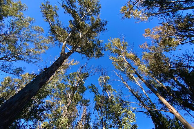 Full-day Hiking at Ruta the Aqua across Pena Cortada - What You’re Really Paying For: Van Comfort, Time, and a Small Group