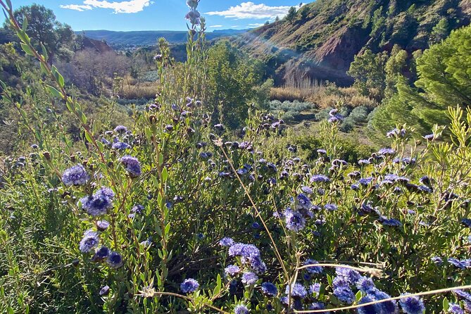 Full-day Hiking at Ruta the Aqua across Pena Cortada - Gear, Fitness, and Weather: The Stuff That Decides If You’ll Enjoy It