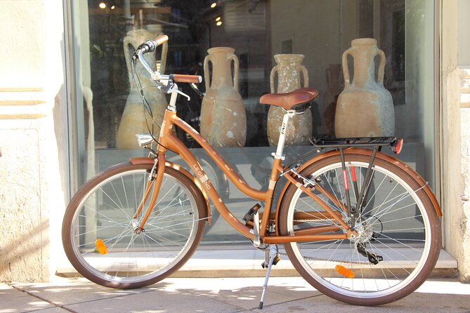 GRAND CITY Private Guided Tour on Bike, E-Bike, E-Step or Segway - Valencia in 3 hours: old town to future city on two wheels