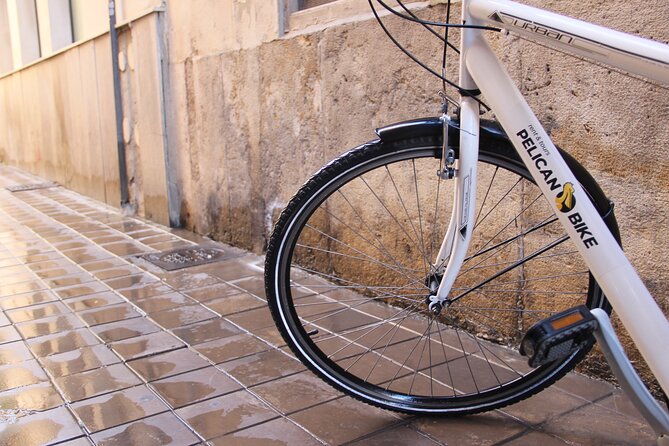GRAND CITY Private Guided Tour on Bike, E-Bike, E-Step or Segway - Stop-by-stop: Valencia’s plazas, cathedral square, and market icons