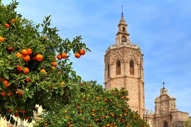 Guided Tour of the Historic Center of Valencia - Santa Catalina Church (Iglesia de Santa Catalina) and the Horchatería Link