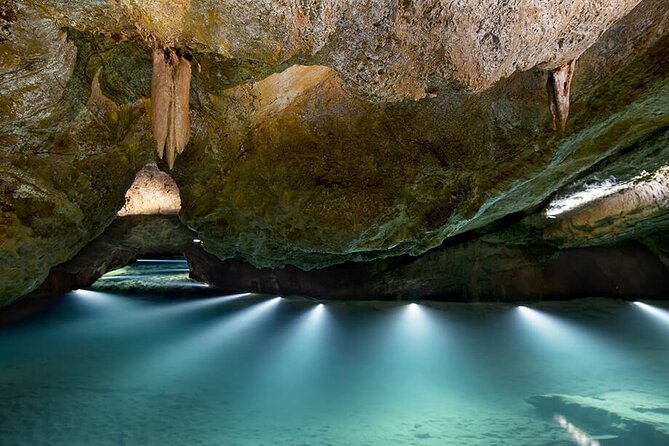 Half Day Tour to San Jose Caves from Valencia - Price and Value: What You’re Paying For at $78.10
