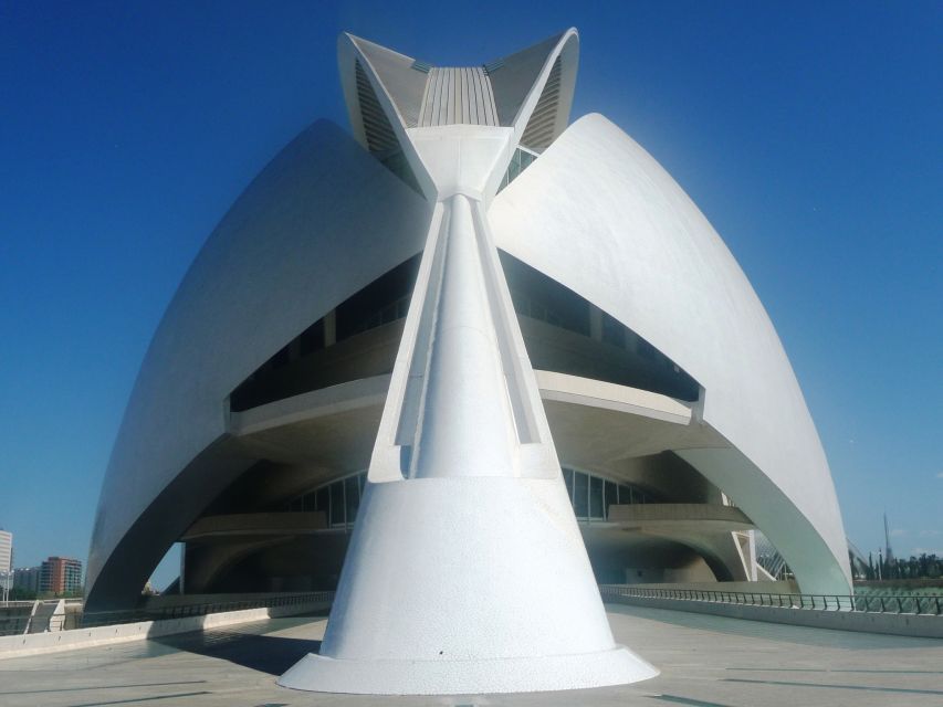 Highlights of Valencia: Private Half-Day Tour - City of Art and Science: Futuristic Buildings Without the Full Day Commitment