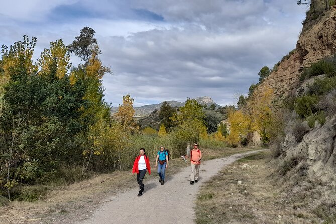 Hike to the Roman aqueduct Peña Cortada - How hard is the 14 km circular route, really?