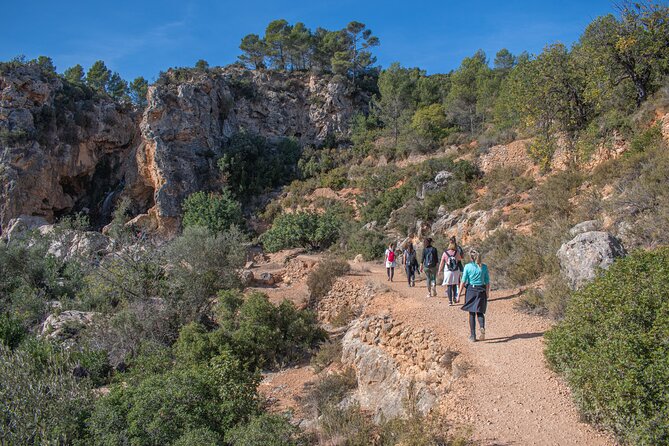 Hiking Experience between Waterfalls in Buñol from Valencia - Returning to Valencia: same meeting point, same easy end