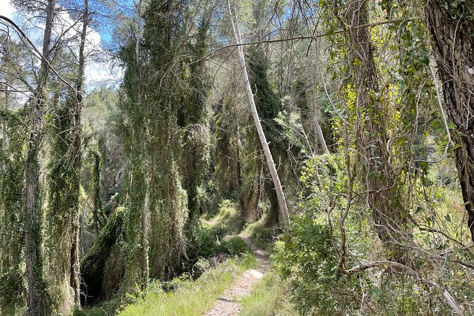 Hiking in Montanejos and swim in Thermal Springs - OFFICIAL GUIDE - Crossing the Maimona River and your lunch stop by the water