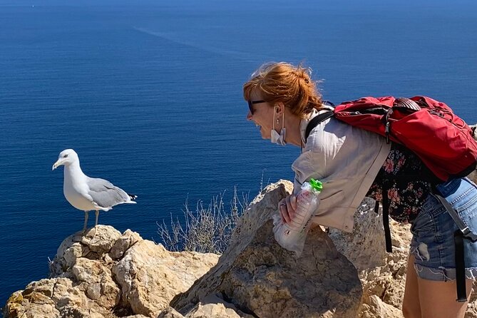Hiking Peñon de Ifach in Calpe and visit Altea - OFFICIAL GUIDE - Peñon de Ifach and Altea in one day: the value combo