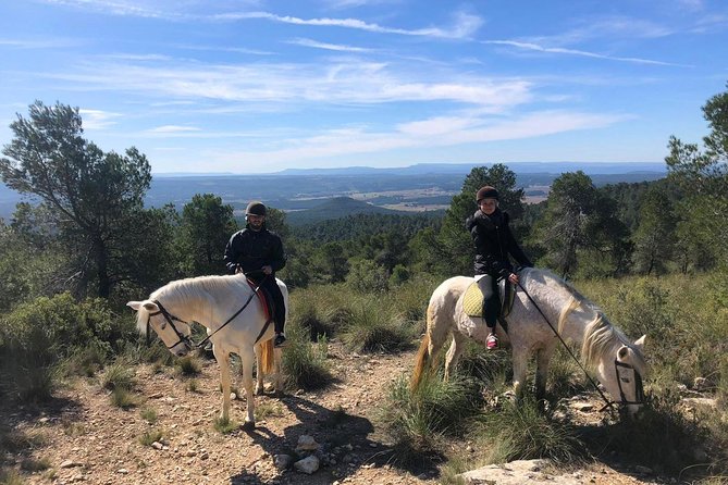 Horseback riding and wine tour (private tour) - Key things to know before you go