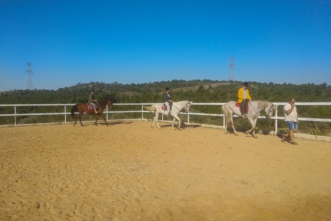 Horseback riding and wine tour (private tour) - The wine tasting: choosing 3 wines that match your taste