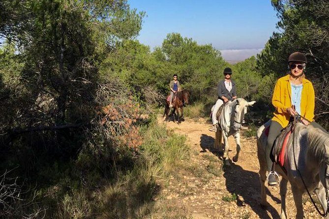 Horseback riding and wine tour (private tour) - English for real: communication that helps