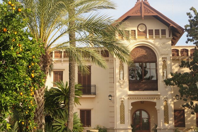 Live an Experience Among Orange Trees in Huerto Ribera - Key highlights