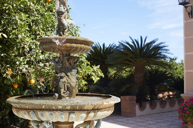 Live an Experience Among Orange Trees in Huerto Ribera - Collecting and Tasting Citrus Fruits Along the Way