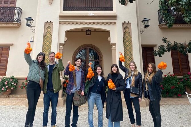Live an Experience Among Orange Trees in Huerto Ribera - Ending With Km 0 Valencian Treats and Orange Blossom Honey