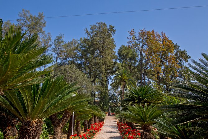 Live an Experience Among Orange Trees in Huerto Ribera - Price and Value: Why This Feels Like Good Math