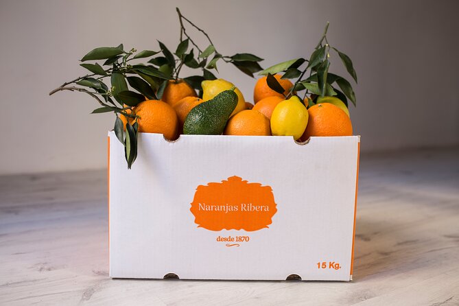 Live an Experience Among Orange Trees in Huerto Ribera - Getting There From Valencia: Public Transit and Taxi Options