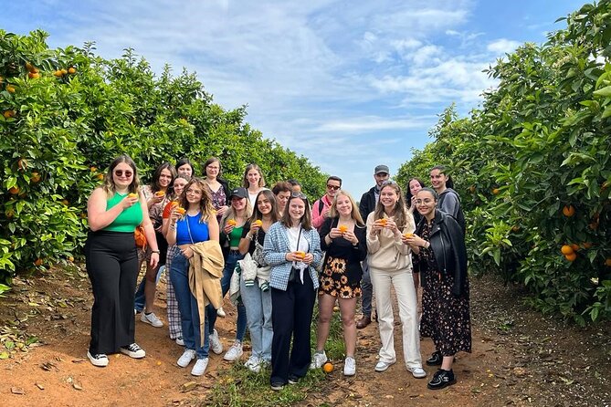 Live an Experience Among Orange Trees in Huerto Ribera - Pruning, Grafting, Flowering, and Irrigation Wells (The Practical Stuff)