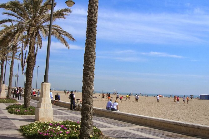 Private 3-Hour Bike Tour: Discover City Gems & Beautiful Beaches - Malva-rosa beach promenade: when the ride turns scenic