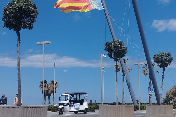 Private Tour with Tuktuk in Valencia - Key Points You’ll Actually Feel During This Tour