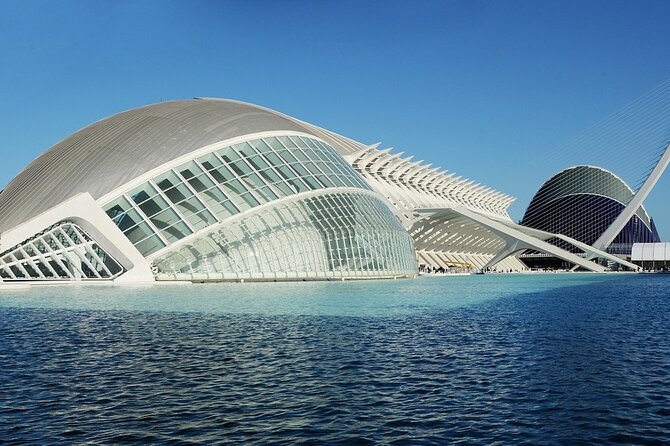 Private Valencia Tour of Highlights and Landmarks - Plaza de la Reina and Dos Aguas: free stops that make the city feel real