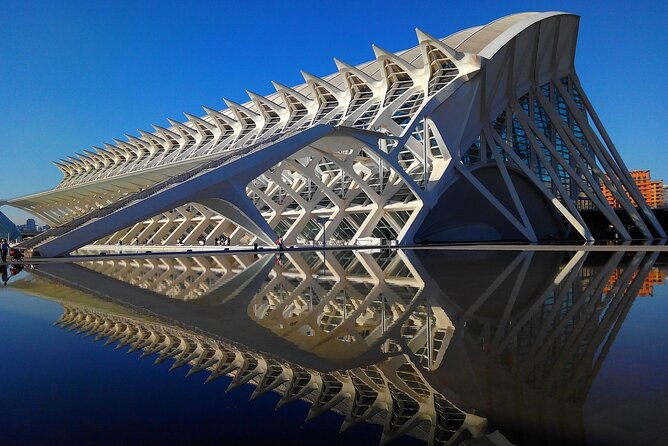 Private Valencia Tour of Highlights and Landmarks - Driver-as-guide: why one booking can feel amazing and another can feel flat