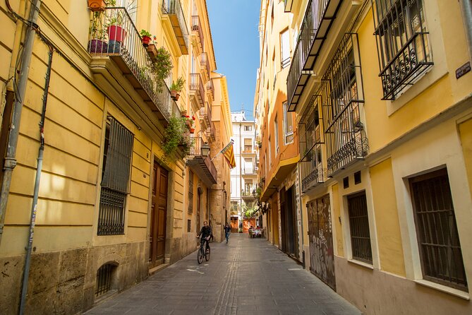 PRIVATE Walking Tour Historical Center with Local Expert - Meeting at Valencia Cathedral and Starting Where It’s Easiest to Orient Yourself