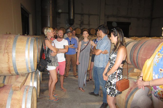 Private Wine Tour with Wine Tasting and Full Lunch (day trip) - Why Requena and Utiel-Requena Work So Well From Valencia